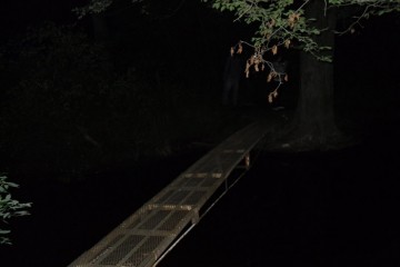 1 spooky haunted bridges