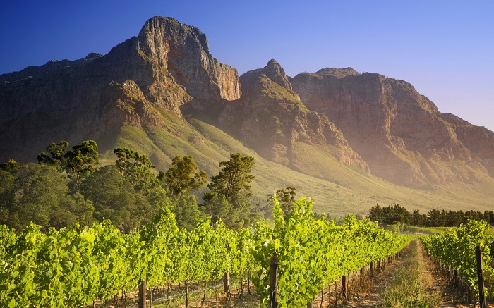 5-reasons-to-visit-south-africa