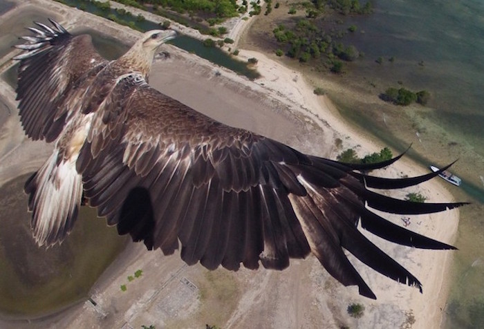 9 stunning drone photos