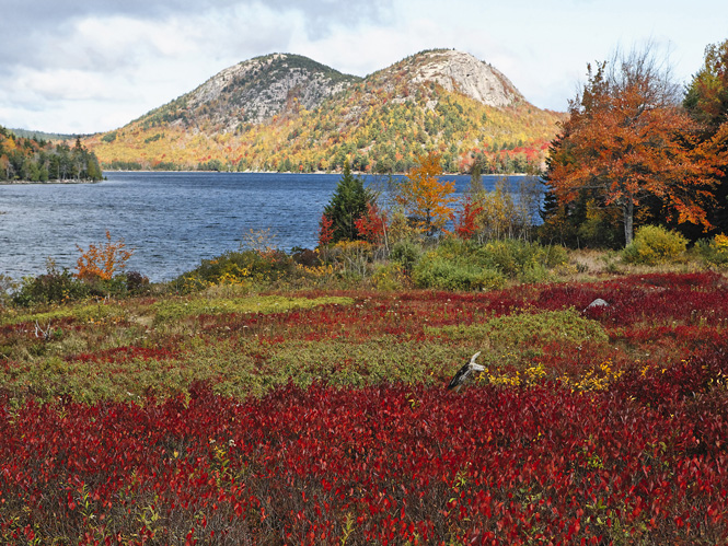 9 national parks america