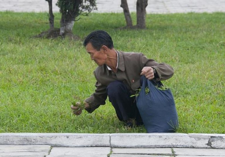 north-korea-photographs-starvation-768x537